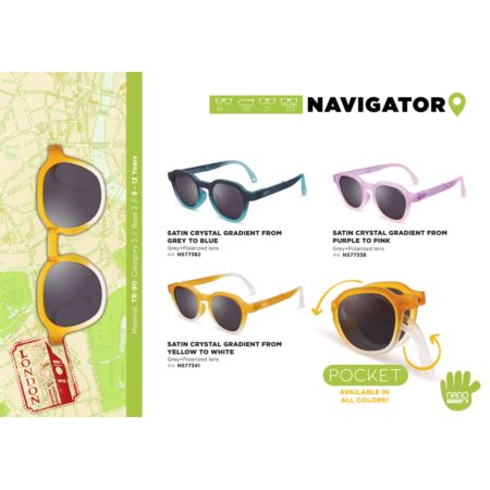 NANO NAVIGATOR